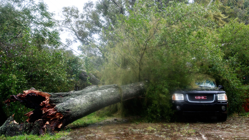 A downed tree from high winds rests against a car in a residential community after Hurricane Matthew passes through on October 7, 2016 in Ormond Beach, Florida. Florida, Georgia, South Carolina and North Carolina have all declared a state of emergency in preparation for Hurricane Matthew. (Image: Getty)